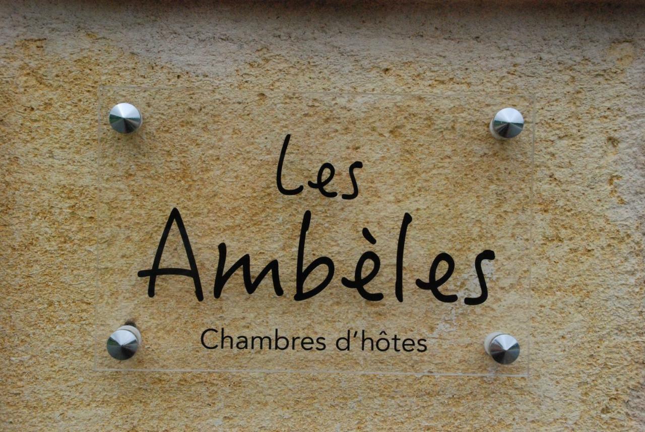 Les Ambeles Saint-Magne-de-Castillon Exterior foto